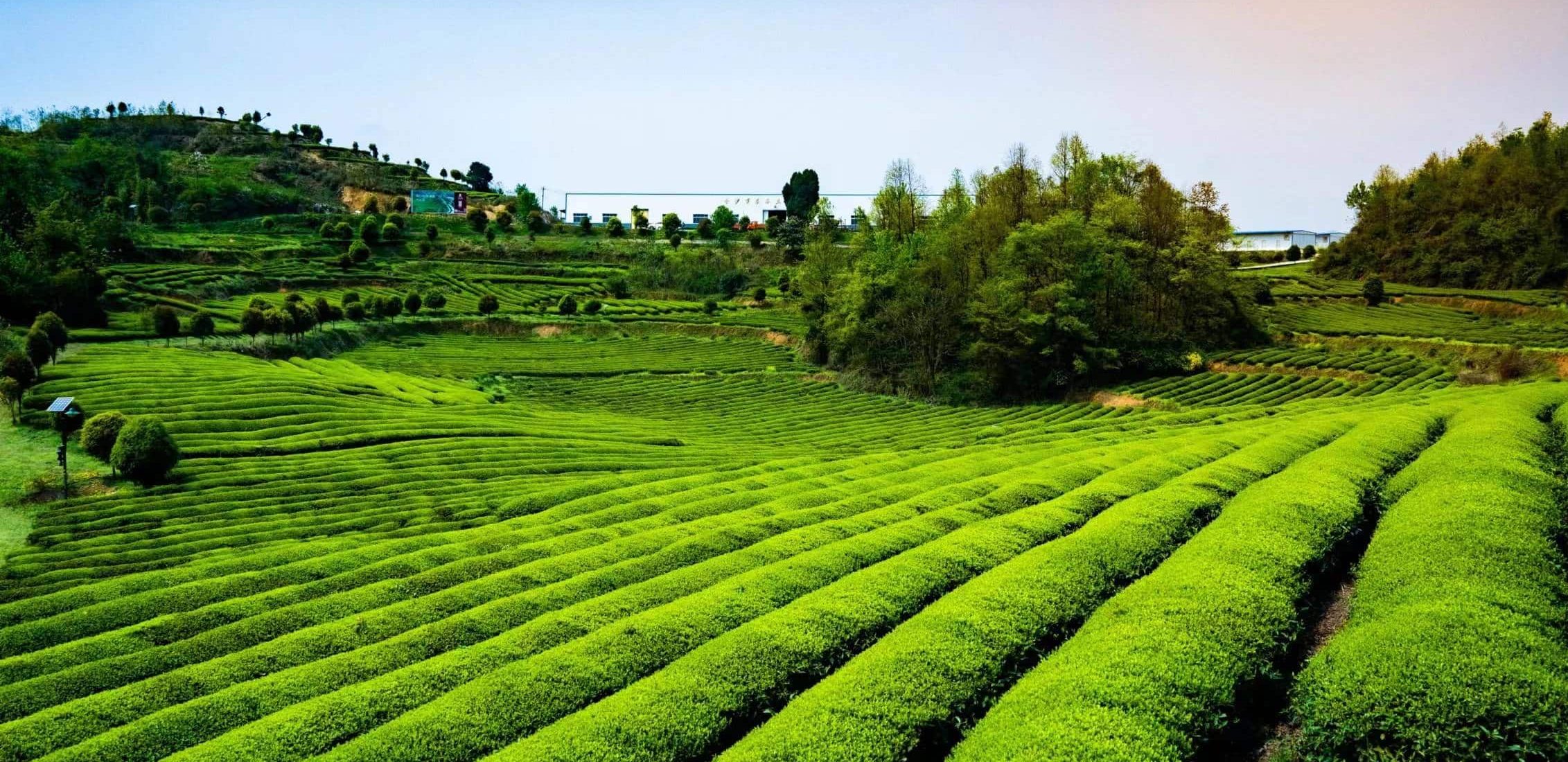 7ff870c0eff16d2a3b409a2e8b3c0877