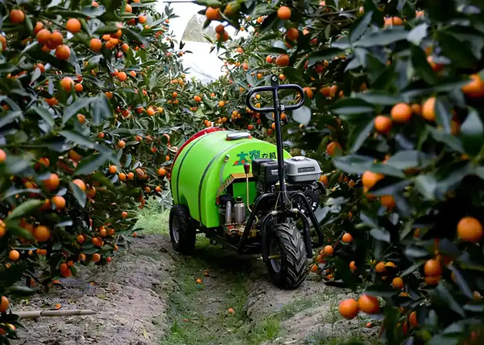 Self Propelled Orchard Sprayer-3